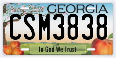 GA license plate CSM3838