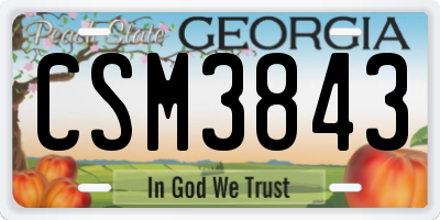 GA license plate CSM3843