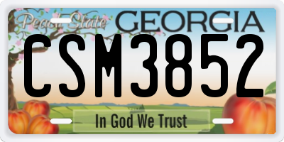 GA license plate CSM3852