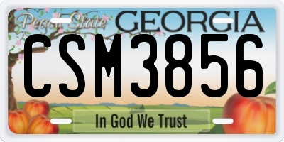 GA license plate CSM3856