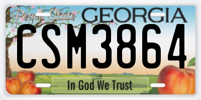 GA license plate CSM3864