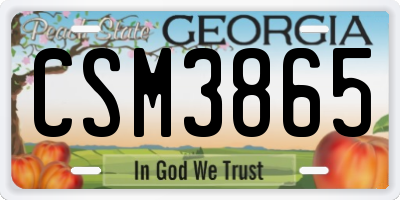 GA license plate CSM3865
