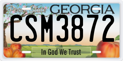 GA license plate CSM3872
