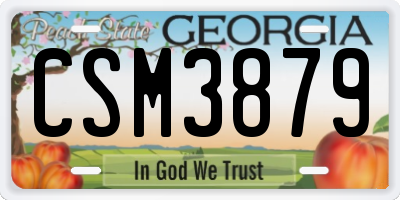 GA license plate CSM3879