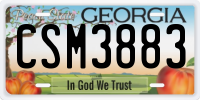 GA license plate CSM3883