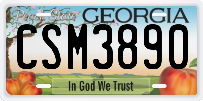 GA license plate CSM3890