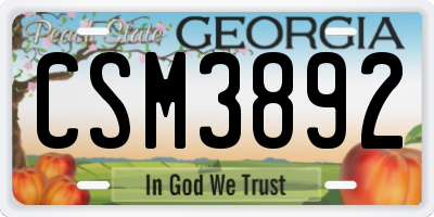 GA license plate CSM3892