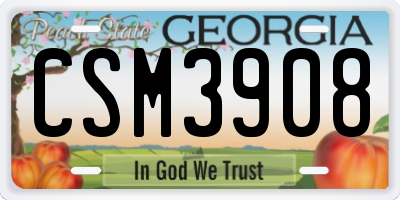 GA license plate CSM3908