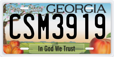 GA license plate CSM3919