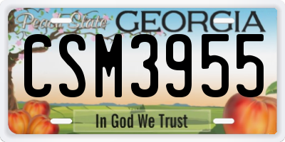 GA license plate CSM3955