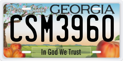GA license plate CSM3960