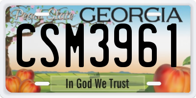 GA license plate CSM3961