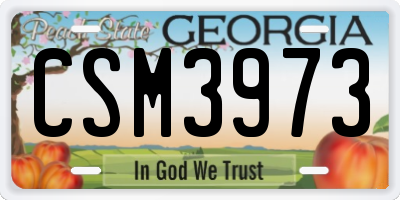 GA license plate CSM3973