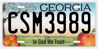 GA license plate CSM3989