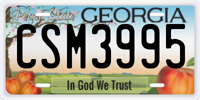 GA license plate CSM3995
