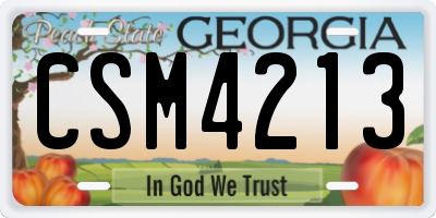 GA license plate CSM4213