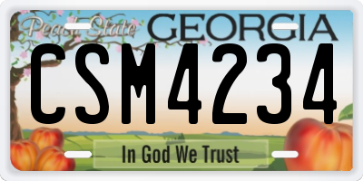 GA license plate CSM4234