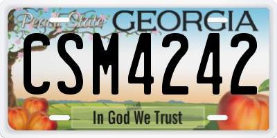 GA license plate CSM4242