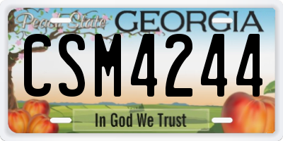 GA license plate CSM4244