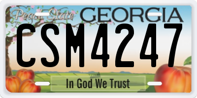 GA license plate CSM4247