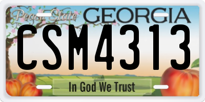 GA license plate CSM4313