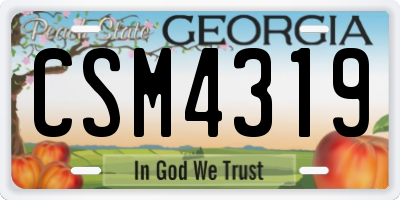 GA license plate CSM4319