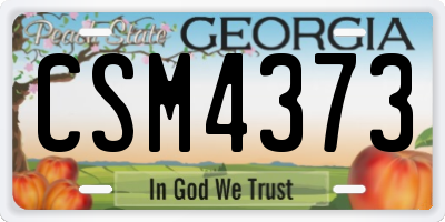 GA license plate CSM4373