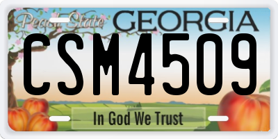 GA license plate CSM4509