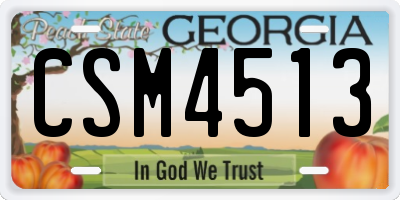 GA license plate CSM4513