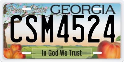 GA license plate CSM4524