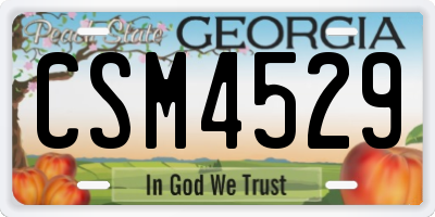 GA license plate CSM4529