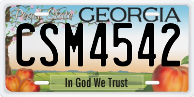 GA license plate CSM4542