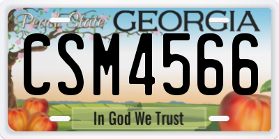 GA license plate CSM4566