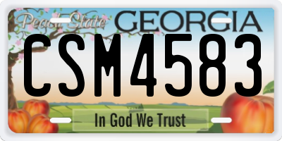 GA license plate CSM4583
