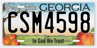 GA license plate CSM4598