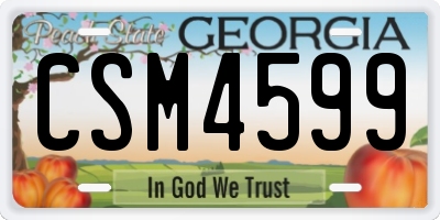 GA license plate CSM4599