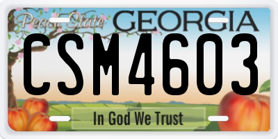 GA license plate CSM4603