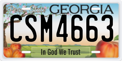 GA license plate CSM4663