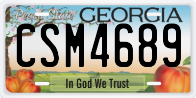 GA license plate CSM4689