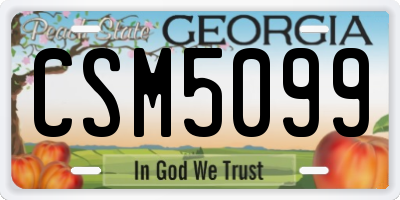 GA license plate CSM5099