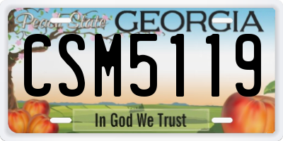 GA license plate CSM5119