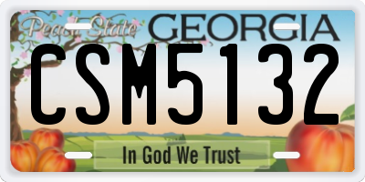 GA license plate CSM5132