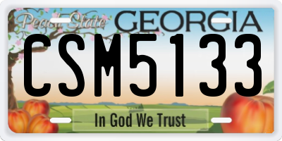 GA license plate CSM5133