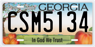 GA license plate CSM5134