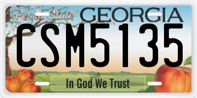 GA license plate CSM5135