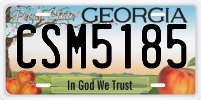 GA license plate CSM5185
