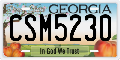 GA license plate CSM5230