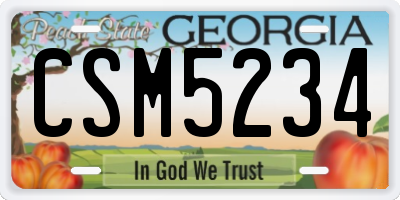 GA license plate CSM5234