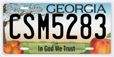GA license plate CSM5283