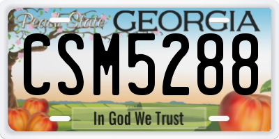 GA license plate CSM5288